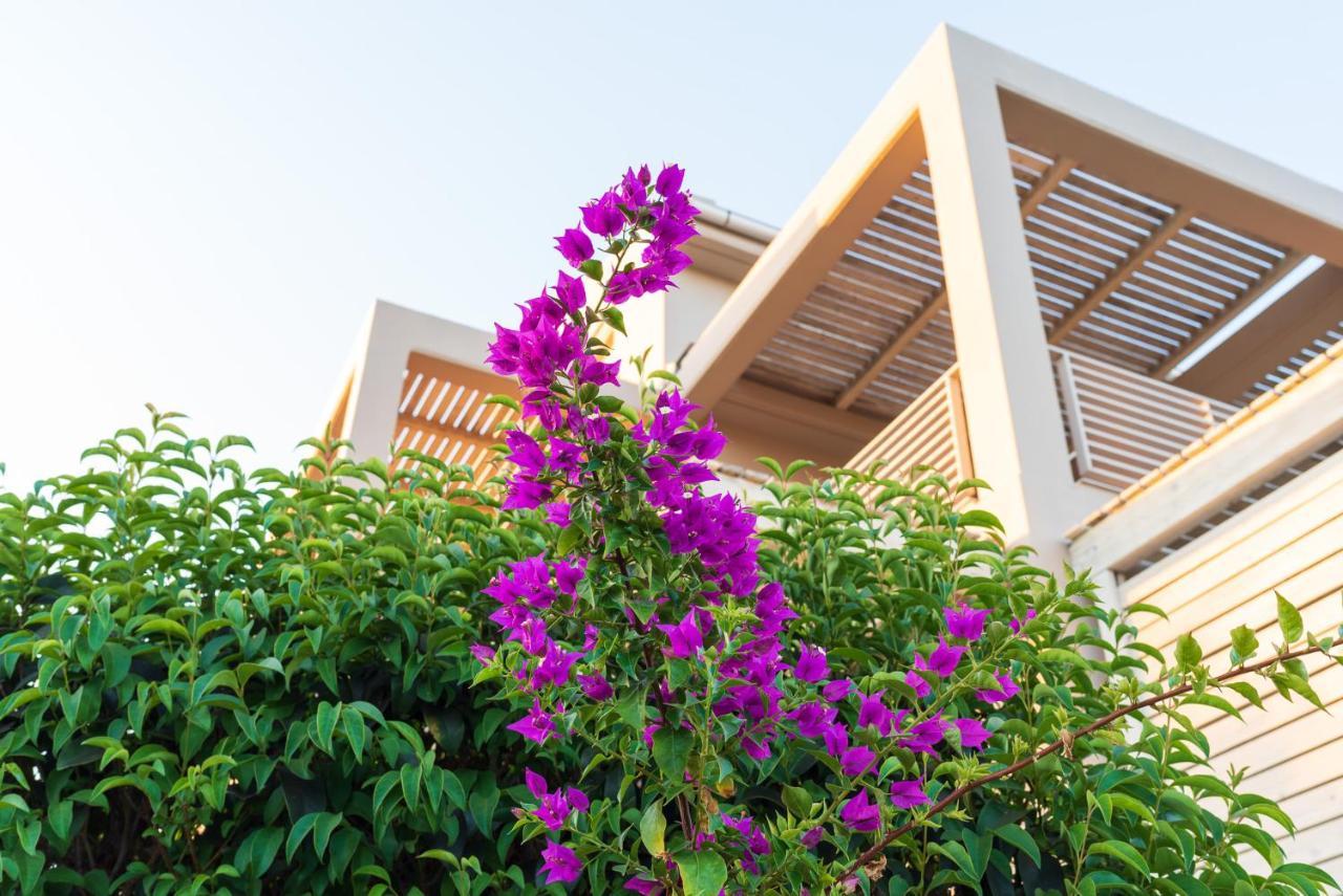 מרתופוליס Aelia Home Suites מראה חיצוני תמונה